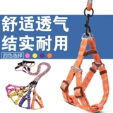 Собачья тяга Тедди ходячая собака веревка для собак щенка щенка