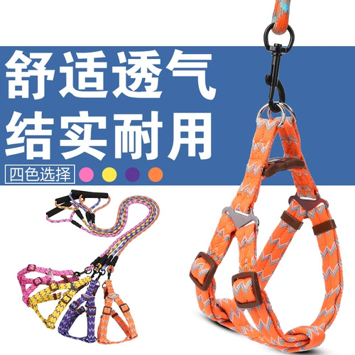 Собачья тяга Тедди ходячая собака веревка для собак щенка щенка