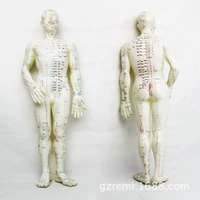 Đồng y tế cơ thể con người ngay vào huyệt châm cứu kinh tuyến massage font cơ thể phần nhỏ skeleton mô hình tĩnh đồ chơi mô hình anime