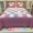 cao cấp hoa đĩa mảnh seersucker Hàn Quốc rửa ba mảnh bìa giường - Trải giường
