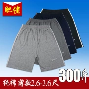 Mùa hè mỏng nam trung niên bảy điểm quần chất béo thể thao quần short cotton quần lớn lỏng lỏng lẻo cộng với chất béo quần