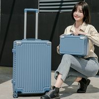 Advanced Blue [Mother] Case Case+Patch Patch+Freight Insurance