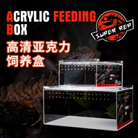 SuperRep Reptile Акриловая ящик для размножения для питомца -паук -гард -паук -дворец, рог лягушка, жук