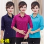 Áo thun nữ tay dài trung tính và mập mạp cộng với áo thun cotton cho bé gái mùa thu với áo sơ mi cotton hàng đầu đầm dài qua gối cho tuổi trung niên