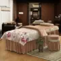 Mới cao cấp vẻ đẹp giường bao gồm bốn bộ dày tinh thể nhung cơ thể massage vẻ đẹp giường bao gồm có thể được tùy chỉnh khử trùng giường tìm mua ga phủ giường spa
