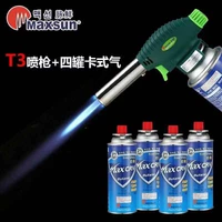 Spray Gun MS-T3+4 газовые банки