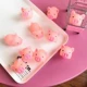 Маленькая розовая свинья 【10 пут】