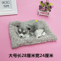 Вельветная большая спящая собака Хаски