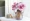 Amphora chai, hoa hồng, platycodon, tú cầu, hoa cúc, hoa đồng tiền, gypsophila, thủy tinh, bình - Vase / Bồn hoa & Kệ chậu thủy tinh trồng cây