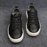 G2XXL30302 Men's Counter -Counter -Counter -Counter Men's Men's Summer's Casual Lowshide Landblades and Shoes