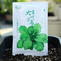 Император Big Leaf Artemisia Artemisia 30G Original [около 1200 капсул]