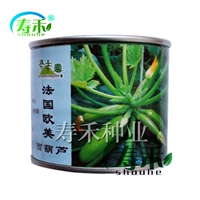 Французская Европа и Америка [Весна, Осень Ян] 500 капсул/ствол