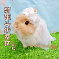 Фата невесты, кролик, аксессуар подходит для фотосессий для невесты, новая версия