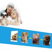 Pet cat dog chải tóc chải lông bông vàng hơn gấu Bomei lược đặc biệt làm đẹp cung cấp - Cat / Dog Beauty & Cleaning Supplies