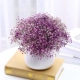 Фиолетовый и белый градиент, полный звездных звезд Eternal Flowers Band Vase B