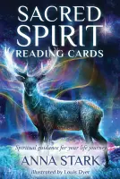 Импортированные подлинные карты чтения Священного Духа Священное духовное чтение (книга)
