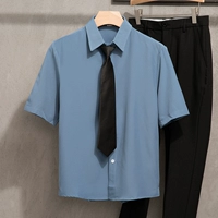 Синяя короткая рубашка D6