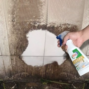 2 chai chất tẩy rửa mạnh mẽ khử nhiễm cỏ tốt tẩy sàn gạch làm sạch tạo tác sửa chữa sứ - Trang chủ