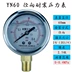 YN60 địa chấn máy đo áp suất nước áp suất không khí máy bơm thủy lực xăng đo áp suất máy rửa xe 16MPa Huchun ZG1/4 