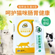 Probiotic B mèo điều hòa đặc biệt mèo tiêu hóa mèo đặc biệt mèo con mèo muốn mèo ăn men vi sinh - Cat / Dog Health bổ sung