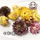 10G Chrysanthemum