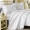 Rắn dày mùa đông rửa bông viên tờ châu Âu mùa xuân bông giường bông bao gồm ba mảnh - Trải giường