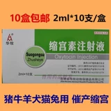 Ветеринарные центры усадки лекарств Инъекции зверей, свинины, овец, собак, кошек и кроликов перед родами, окситокоплазма усадка