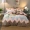 Bộ bông bốn mảnh Bắc Âu Bộ đồ giường 1,8m đơn giản đôi chà nhám dày tấm bông - Bộ đồ giường bốn mảnh