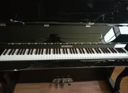 Cho thuê đàn piano, giới hạn trong khu vực thành phố Hoài An