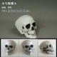 Маленький череп (размер головы детской головы)
