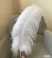 Белый, 60-65см