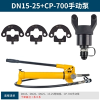 DN15-25+CP-700 насос