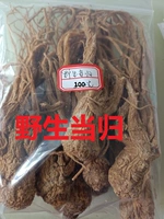 Чанбайская гора дикая Анжелика Китайский лекарственный материал без серы копет