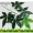 Mô phỏng vận may lá giả cây xanh cây hoa vườn phòng khách nhựa trang trí nội thất giả tre mô phỏng cây - Hoa nhân tạo / Cây / Trái cây chậu hoa giả