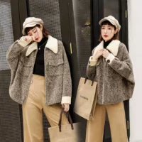 Áo len nữ 2018 thu đông cashmere mùa đông phổ biến Nizi phiên bản Hàn Quốc của chiếc áo khoác nhung ngắn dày nhỏ áo khoác nữ
