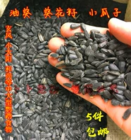 Попугайная еда xiotai xuanfeng yang yang parrot и китайские птицы птицы 300 г тыквы семя