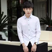 Mùa thu mới áo thun nam dài tay phiên bản Hàn Quốc của xu hướng áo dài giản dị kinh doanh thời trang áo sơ mi nam màu