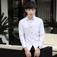 Mùa thu mới áo thun nam dài tay phiên bản Hàn Quốc của xu hướng áo dài giản dị kinh doanh thời trang áo sơ mi nam màu áo sơ mi nam đẹp 2020