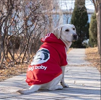 Толстовка с красным насильственным медведем