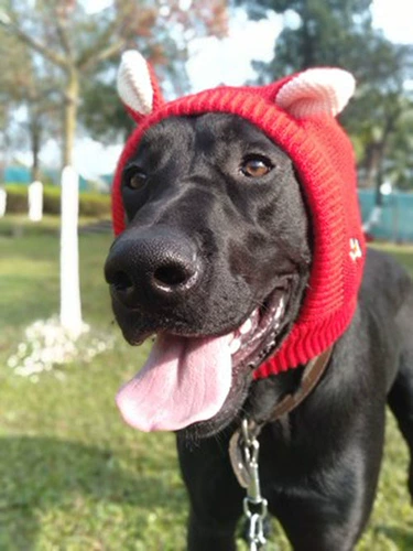 Шапка, зимний милый шерстяной удерживающий тепло шарф