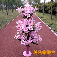 Phalaenopsis pink готовый продукт