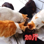 喵 喵 mèo tự chế thực phẩm số lượng lớn 10kg vào thức ăn cho mèo mèo trẻ thực phẩm chung muối thấp thức ăn cho mèo
