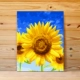 006-Sunflower Blue Sky