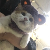 Медведь (Волшебный пост)