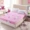 Fale Flannel bed 笠 đơn giường trải thảm màu nâu Simmons nệm bảo vệ nệm chống trượt tấm lông cừu san hô ấm