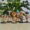 Cướp biển Vua hải lý Văn phòng Xe mô hình Trang trí Quà tặng ngoại vi Luffy Sorento Choba Hoàn thành - Capsule Đồ chơi / Búp bê / BJD / Đồ chơi binh sĩ