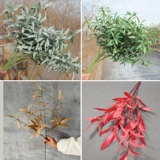 Оливковые ветви симуляция свадебная день