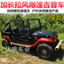 300CC làm mát bằng nước chuyển đổi ATV bốn bánh off-road xe máy núi lớn Jeep tấn công kart UTV Xe đạp quad