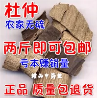Eucommiad 500g Бесплатная доставка Eucommiadi Китайские лекарственные материалы Du Zhong Tea Eucommia Порош