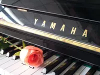 Cho thuê đàn piano Thâm Quyến Đông Tạng cho thuê đàn piano điện miễn phí vận chuyển thuê đầu tiên và mua miễn phí cho thuê tam giác hiệu suất yamaha ydp 144